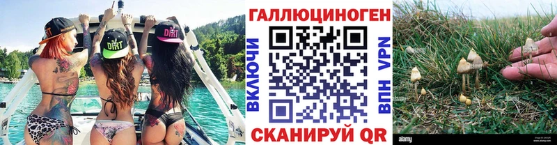 Галлюциногенные грибы Magic Shrooms  сколько стоит  Рославль 